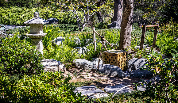 Japanese Friendship Garden 03/25/22