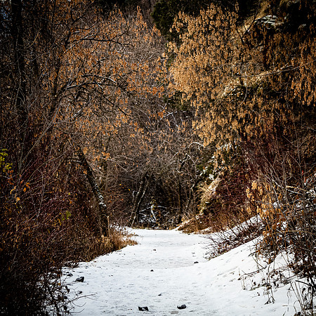 Logan, UT 11/2024