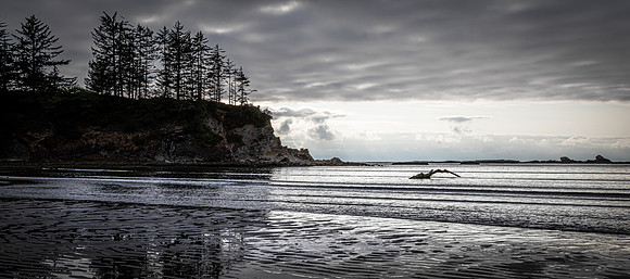 Coast Route 07/2019