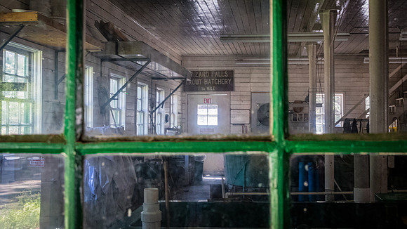 Wizard Falls Fish Hatchery 07/2019