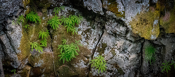 Rogue River Gorge 07/2019