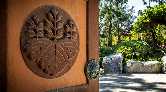 Japanese Friendship Garden 03/25/22