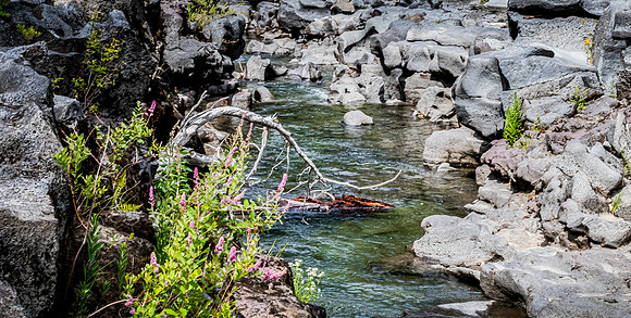 Rogue River Gorge 07/2019