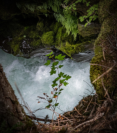 Rogue River Gorge 07/2019