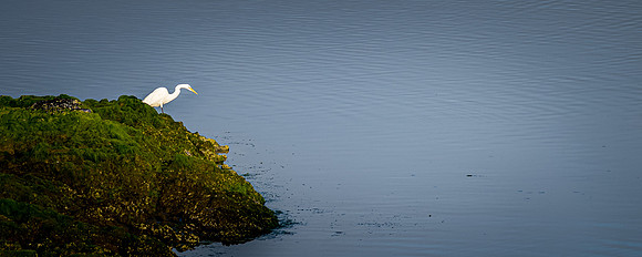 Smith River - Brookings 07/2019