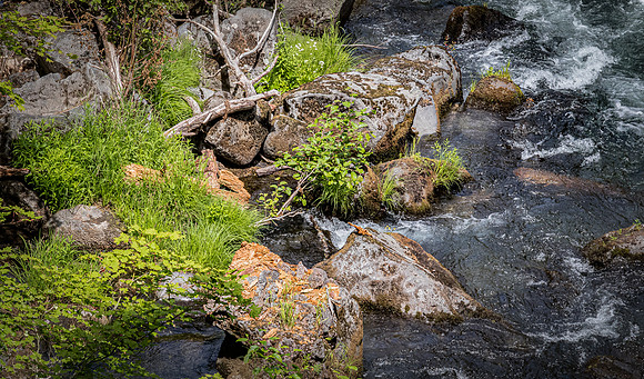 Rogue River Gorge 07/2019
