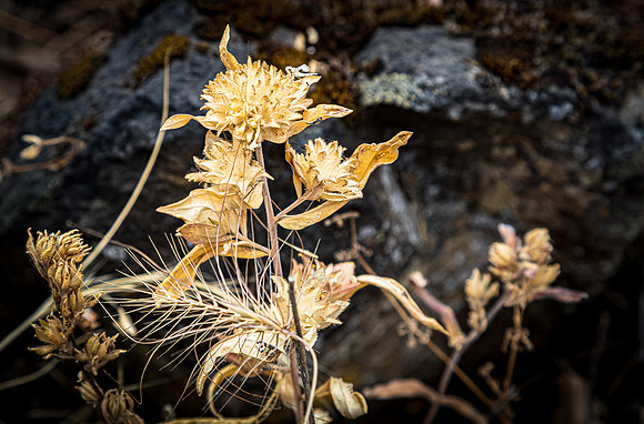 Upper Table Rock 07/2019