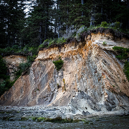 Coast Route 07/2019