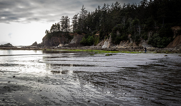 Coast Route 07/2019