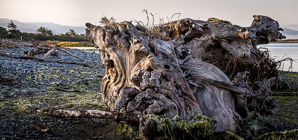 Smith River - Brookings 07/2019