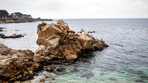 Pacific Grove - Central Coast 01/2025