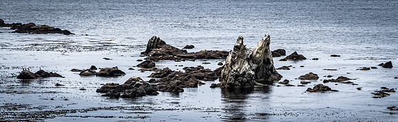 Coast Route 07/2019