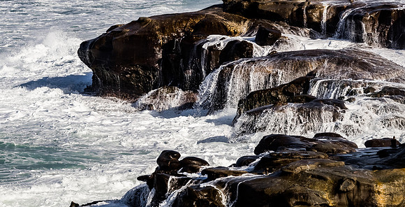 La Jolla Cove 01/09/19