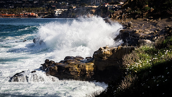La Jolla Cove 01/09/19