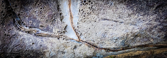 Coast Route 07/2019