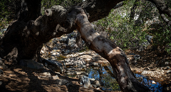 Mission Trails Regional Park 03/18/22