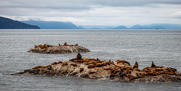 Glacier Bay