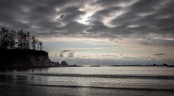 Coast Route 07/2019