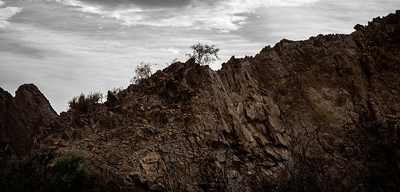 Colorado River, Yuma 04/2021
