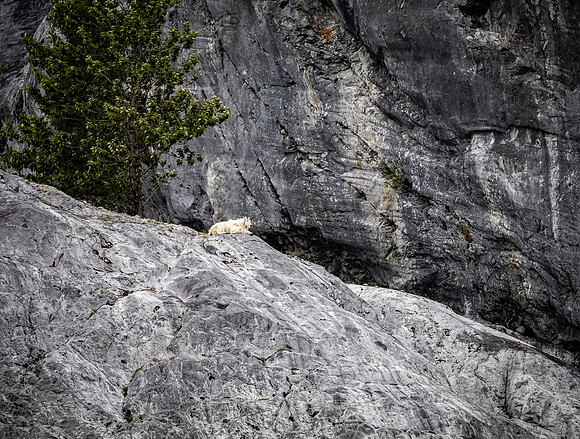 Glacier Bay