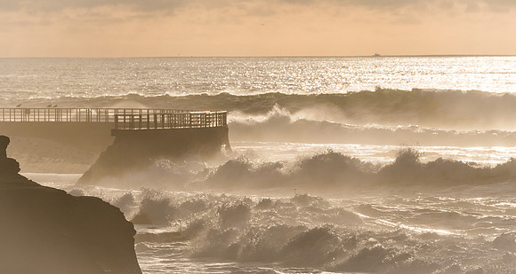 La Jolla Cove 01/09/19