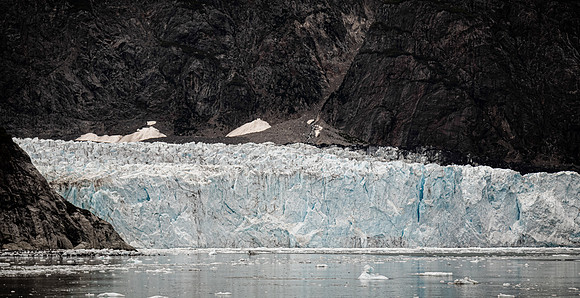 Glacier Bay