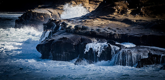 La Jolla Cove 01/09/19
