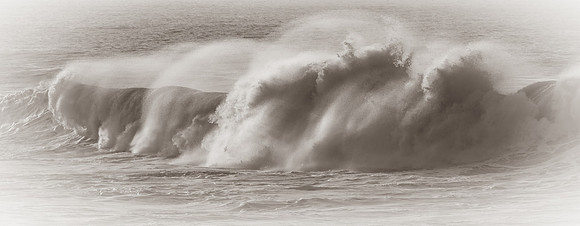 La Jolla Cove 01/09/19