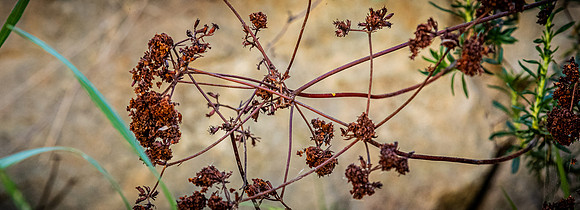 Mission Trails Regional Park 03/18/22