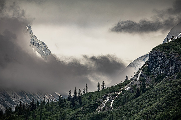Glacier Bay