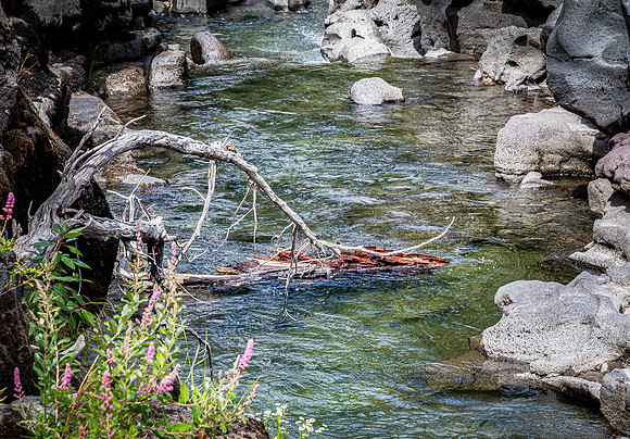 Rogue River Gorge 07/2019