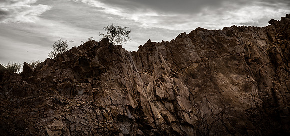 Colorado River, Yuma 04/2021