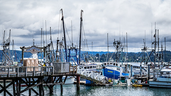 Coast Route 07/2019