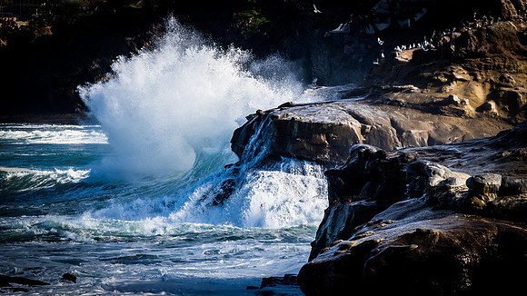 La Jolla Cove 01/09/19