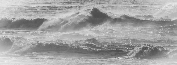 La Jolla Cove 01/09/19