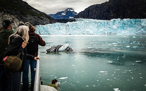 Glacier Bay