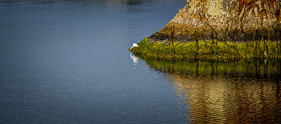Smith River - Brookings 07/2019