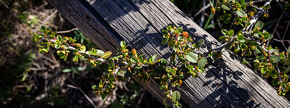 Mission Trails Regional Park 03/18/22
