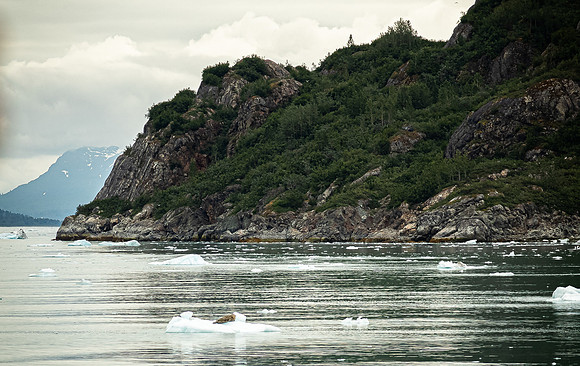 Glacier Bay