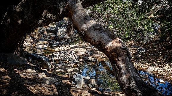 Mission Trails Regional Park 03/18/22
