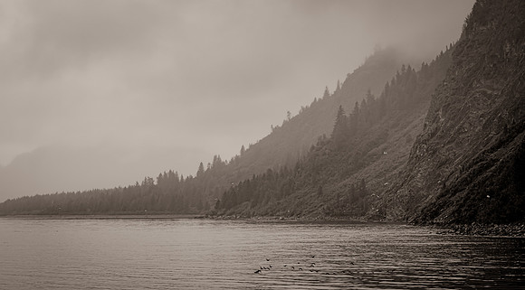 Glacier Bay