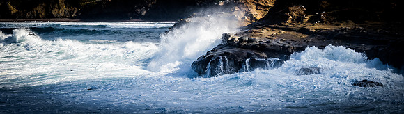 La Jolla Cove 01/09/19