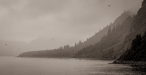 Glacier Bay