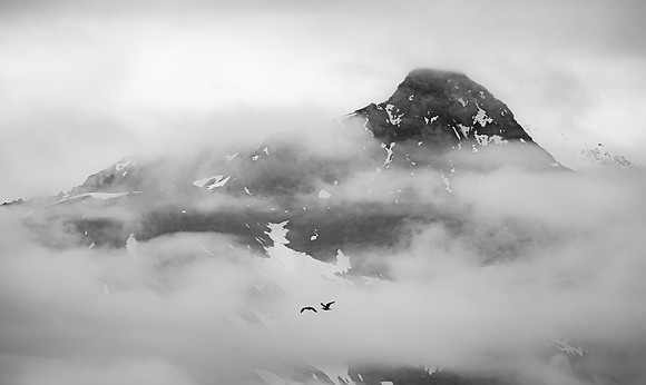 Glacier Bay