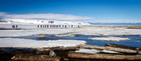 Arctic - Svalbard