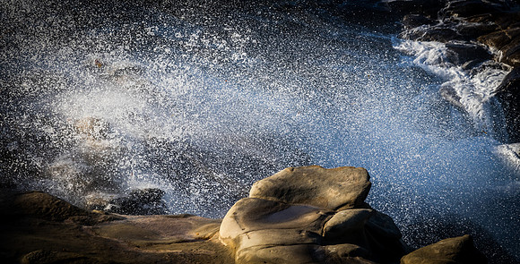 La Jolla Cove 01/09/19