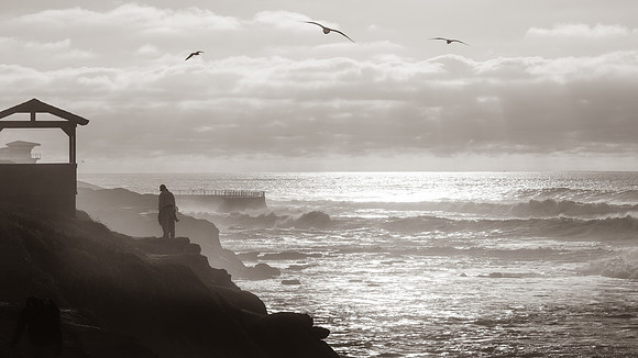 La Jolla Cove 01/09/19