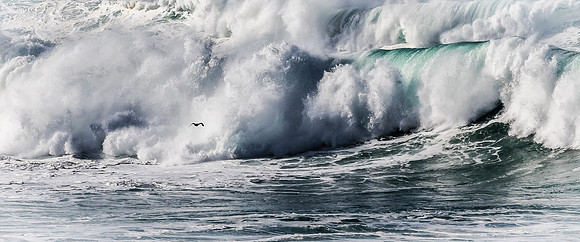 La Jolla Cove 01/09/19