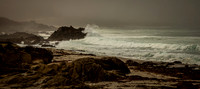 17 Mile Drive