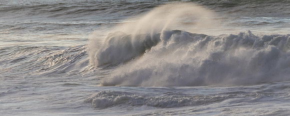 La Jolla Cove 01/09/19
